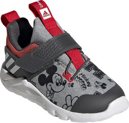 Jalanõud lastele Adidas RapidaFlex Mickey Grey Red цена и информация | Детская спортивная обувь | kaup24.ee