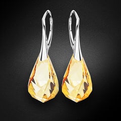 Naiste hõbedased kõrvarõngad DiamondSky "Helix (Golden Shadow)" Swarovski kristallidega цена и информация | Серьги | kaup24.ee