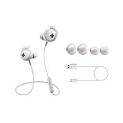 PHILIPS SHB4305WT/00 цена и информация | Наушники | kaup24.ee