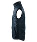 Body Warmer Vest meestele hind ja info | Meeste vestid | kaup24.ee