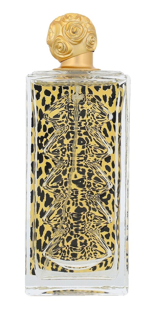 Tualettvesi Salvador Dali Dali Wild EDT naistele 100 ml цена и информация | Naiste parfüümid | kaup24.ee