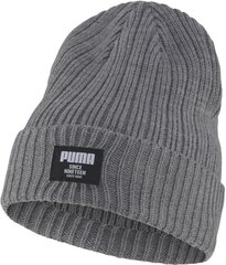 Puma Kootud mütsid Ribbed Classic Beanie Grey цена и информация | Мужские шарфы, шапки, перчатки | kaup24.ee