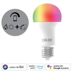 Robert Smart умная разноцветная светодиодная лампочка E27/max 9W-806lm/color/Wi-Fi цена и информация | Лампочки | kaup24.ee