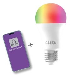 Robert Smart умная разноцветная светодиодная лампочка E27/max 9W-806lm/color/Wi-Fi цена и информация | Лампочки | kaup24.ee