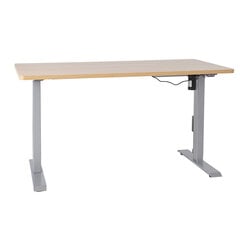 Функциональный письменный стол Ergo, коричневый цена и информация | Компьютерные, письменные столы | kaup24.ee