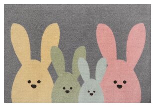 Hanse Home uksematt Printy Bunny Family, 40x60 cm hind ja info | Uksematid | kaup24.ee