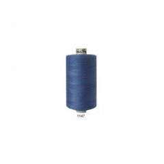 Швейные нитки № 120 RainBow® CORI C452 1000 м, цвет 1147 цена и информация | Принадлежности для шитья | kaup24.ee
