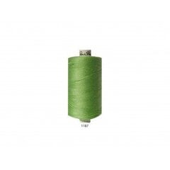 Швейные нитки № 120 RainBow® CORI C452 1000 м, цвет 1187  цена и информация | Принадлежности для шитья | kaup24.ee