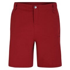 Dare 2b Mens Tuned In II Multi Pocket Walking Shorts (Mitmetaskulised jalutuspüksid), Syrah punane UTRG4078_syrahred hind ja info | Meeste lühikesed püksid | kaup24.ee