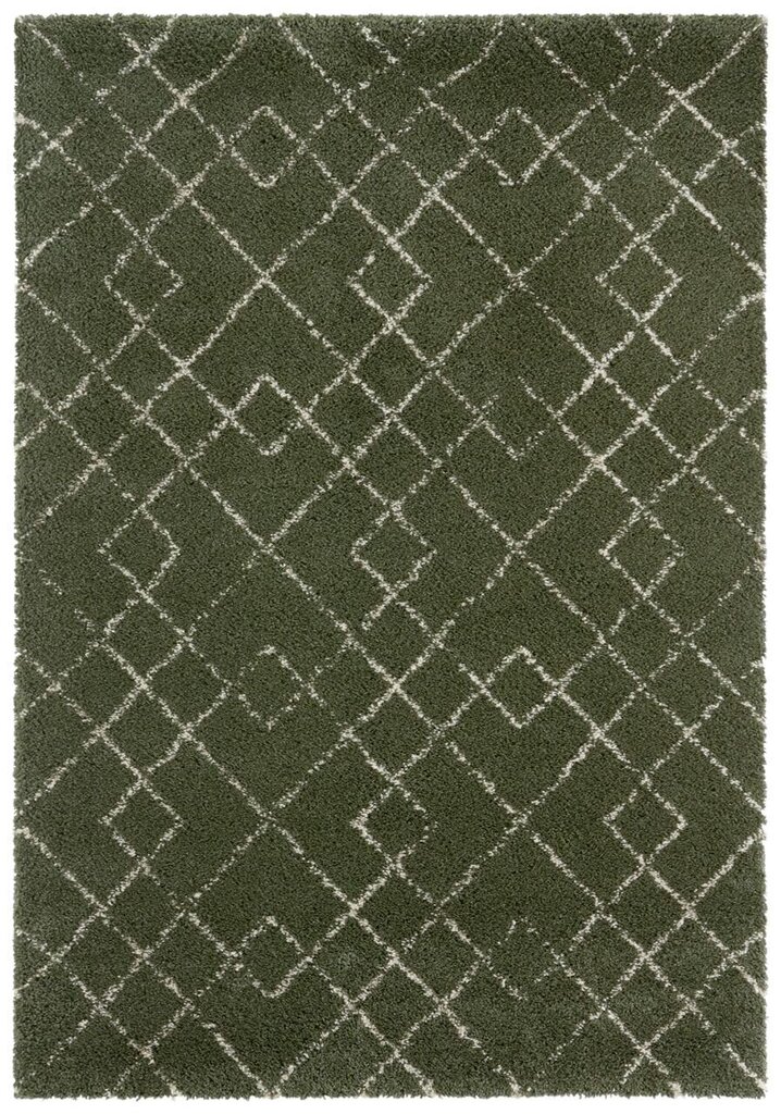 Mint Rugs vaip Allure Archer, 160x230 cm hind ja info | Vaibad | kaup24.ee