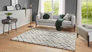 Mint Rugs vaip Allure Archer, 160x230 cm hind ja info | Vaibad | kaup24.ee