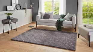 Mint Rugs vaip Allure Archer, 80x150 cm hind ja info | Vaibad | kaup24.ee