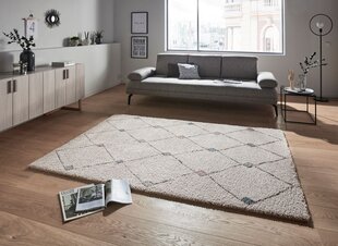 Mint Rugs vaip Allure Create, 160x230 cm hind ja info | Vaibad | kaup24.ee