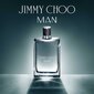 Meeste parfüüm Jimmy Choo Man EDT (30 ml) цена и информация | Meeste parfüümid | kaup24.ee