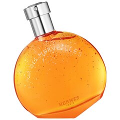 Парфюмерная вода Hermes Elixir Des Merveilles EDP 50 мл цена и информация | Женские духи | kaup24.ee