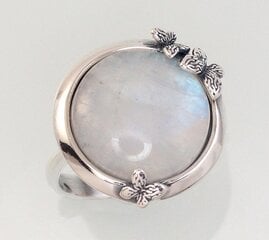 Серебряное кольцо цена и информация | Кольца | kaup24.ee