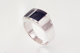 Мужское серебряное кольцо цена и информация | Кольцо | kaup24.ee