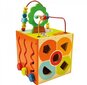 Arendav mänguasi Viis Ühes Kuubik hind ja info | Imikute mänguasjad | kaup24.ee