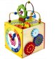 Arendav mänguasi Viis Ühes Kuubik hind ja info | Imikute mänguasjad | kaup24.ee