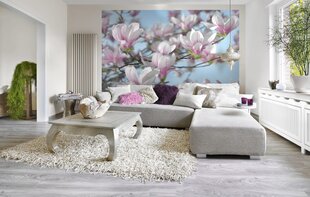 Fototapeet Magnolia цена и информация | Фотообои | kaup24.ee