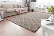 Vaip Mint Rugs Grace Luna, 80x150 cm hind ja info | Vaibad | kaup24.ee