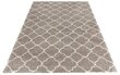 Vaip Mint Rugs Grace Luna, 80x150 cm hind ja info | Vaibad | kaup24.ee