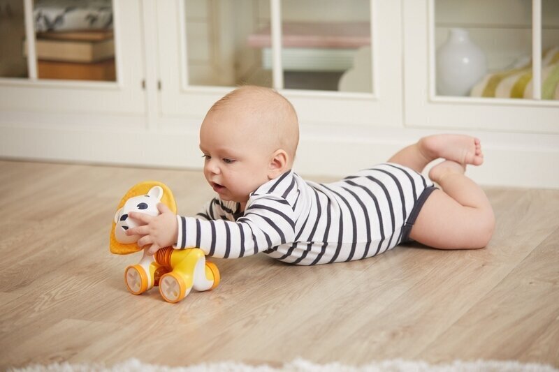 Mängulõvi Leonardo Tiny Love цена и информация | Imikute mänguasjad | kaup24.ee