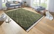 Mint Rugs vaip Desire Jade, 80x150 cm hind ja info | Vaibad | kaup24.ee