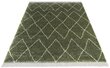 Mint Rugs vaip Desire Jade, 80x150 cm hind ja info | Vaibad | kaup24.ee