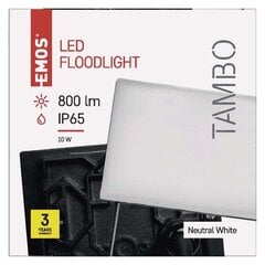 Светодиодный прожектор Tambo 10 Вт, 1 шт. цена и информация | Фонарики, прожекторы | kaup24.ee