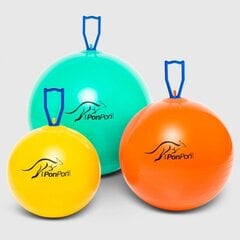 Мяч для прыжков Originalus Pezzi Pon Pon 42cm цена и информация | Гимнастические мячи | kaup24.ee