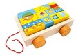 Puidust käru koos värviliste koos värviliste klotsidega Bino, 19-osaline hind ja info | Arendavad mänguasjad | kaup24.ee