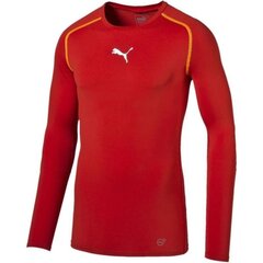 Спортивная футболка Puma TB Longsleeve Tee M 65461201 цена и информация | Мужская спортивная одежда | kaup24.ee