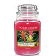 Lõhnaküünal Yankee Candle Large Jar Tropical Jungle 623 g