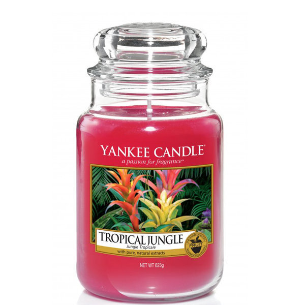 Lõhnaküünal Yankee Candle Large Jar Tropical Jungle 623 g hind ja info | Küünlad, küünlajalad | kaup24.ee