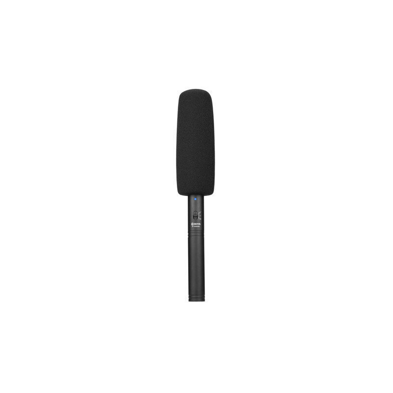 Boya mikrofon BY-BM6060 цена и информация | Mikrofonid | kaup24.ee