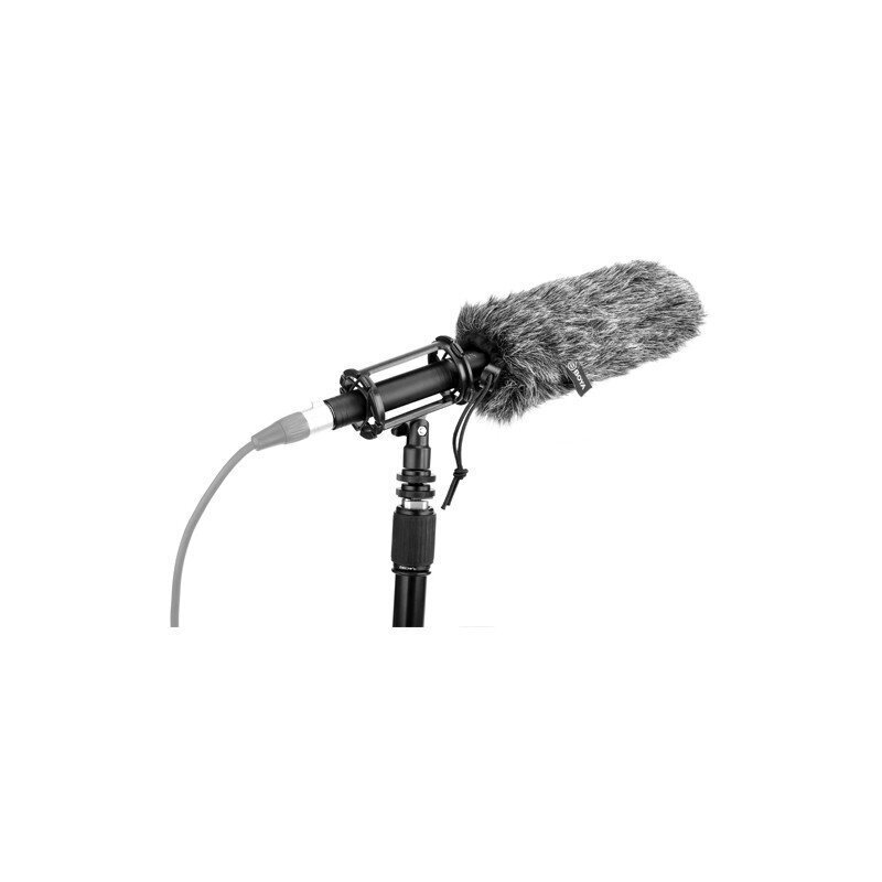 Boya mikrofon BY-BM6060 hind ja info | Mikrofonid | kaup24.ee