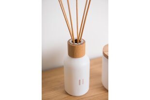 Pulkadega kodulõhnastaja Rento Birch, 100 ml цена и информация | Ароматы для дома | kaup24.ee