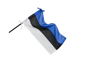 Eesti Vabariigi lipp 75x150cm hind ja info | Lipud ja tarvikud | kaup24.ee