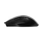 Juhtmevaba hiir ACME MW15 Wireless Optical Mouse hind ja info | Hiired | kaup24.ee