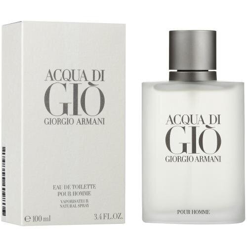 Tualettvesi Giorgio Armani Acqua Di Gio Pour Homme EDT meestele, 100ml цена и информация | Meeste parfüümid | kaup24.ee