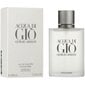 Tualettvesi Giorgio Armani Acqua Di Gio Pour Homme EDT meestele, 100ml hind ja info | Meeste parfüümid | kaup24.ee