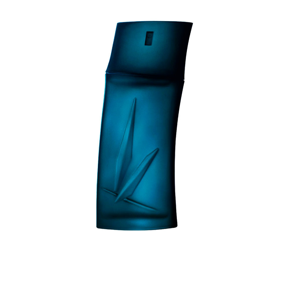 Kenzo Pour Homme EDT meestele 100 ml цена и информация | Meeste parfüümid | kaup24.ee