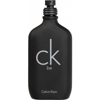 Calvin Klein CK Be EDT Unisex 200 ml hind ja info | Naiste parfüümid | kaup24.ee