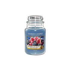 Ароматическая свеча Yankee Candle Large Jar Mulberry & Fig Delight 623 г цена и информация | Свечи, подсвечники | kaup24.ee