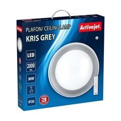 Laevalgusti Activejet LED Aje-Kris Grey цена и информация | Потолочные светильники | kaup24.ee