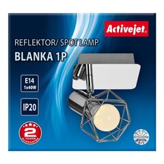 Activejet настенный светильник AJE-Blanka Silver 1P цена и информация | Настенный светильник Конусы | kaup24.ee