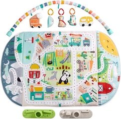 Tegelusmatt Fisher-Price Joyful Journeys Jumbo, FP-GYM05 цена и информация | Развивающие коврики | kaup24.ee