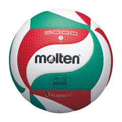 Võrkpall Molten V5M5000 цена и информация | Волейбольные мячи | kaup24.ee