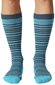 Jalgpallisokid Adidas l Icon Socks Blue цена и информация | Jalgpalli varustus ja riided | kaup24.ee